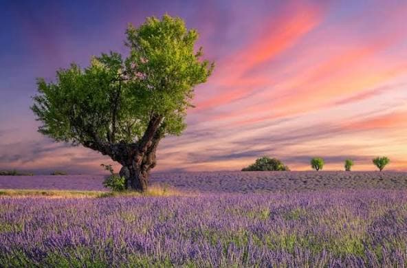 Snowdonia- Coming soon